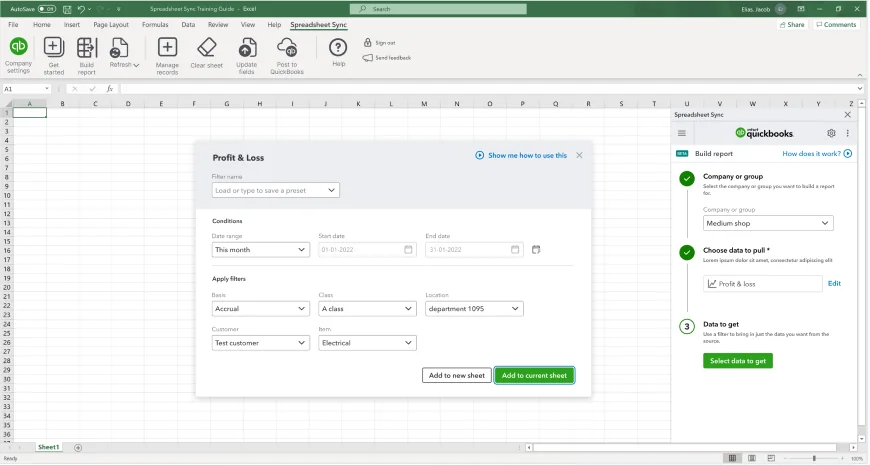 Profit and loss filter dialog with date range and filters